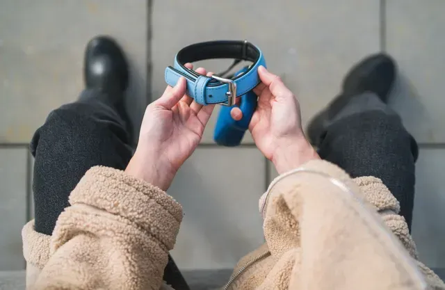 Person holding a blue dog collar while sitting indoors with black boots visible nearby