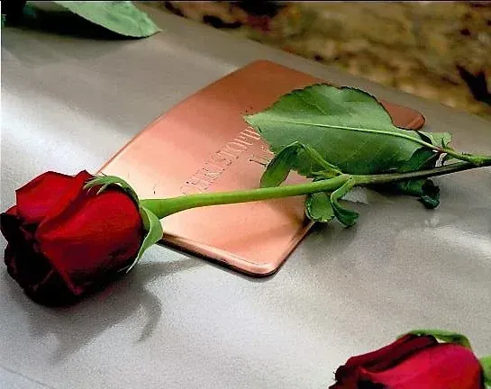 Two red roses lying on a silver surface beside a copper-colored card holder.