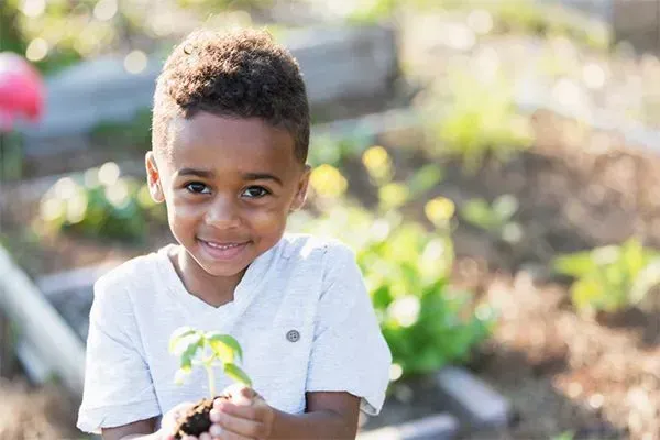 Smiling child holding a small plant in a garden bed