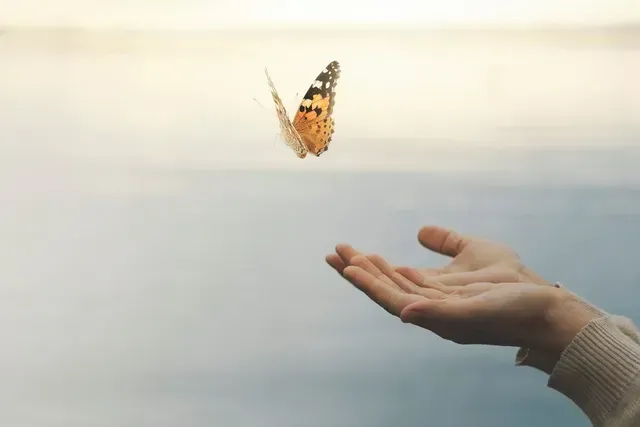 Hands reaching toward a butterfly in a soft, blurred sky backdrop