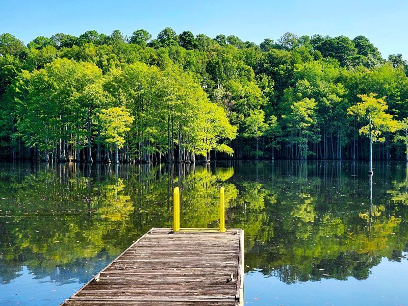 Wooden dock extending into a calm lake with a forest of bright green trees reflected in the water