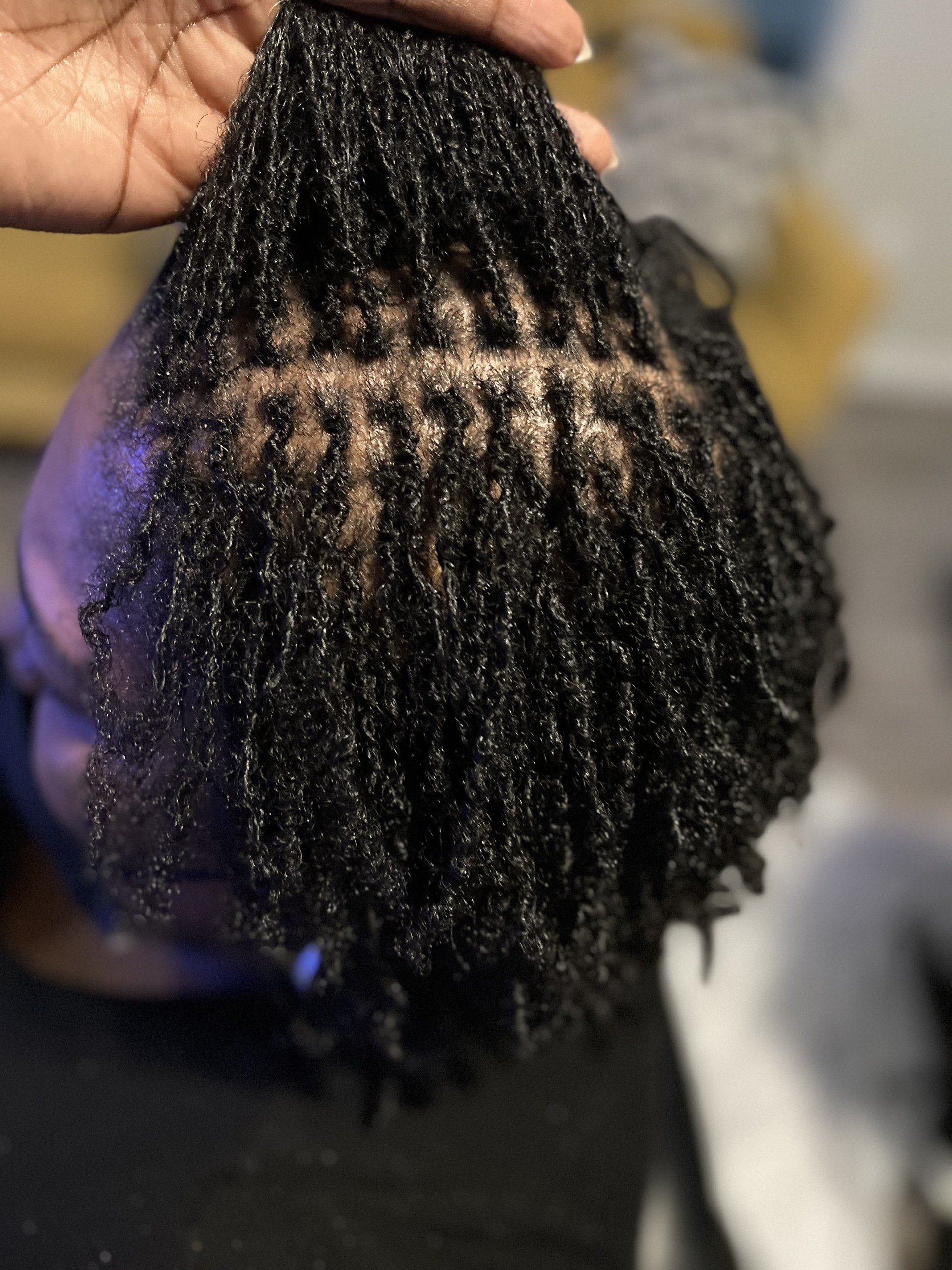 Best Loctician in Gastonia, NC Budding Locs