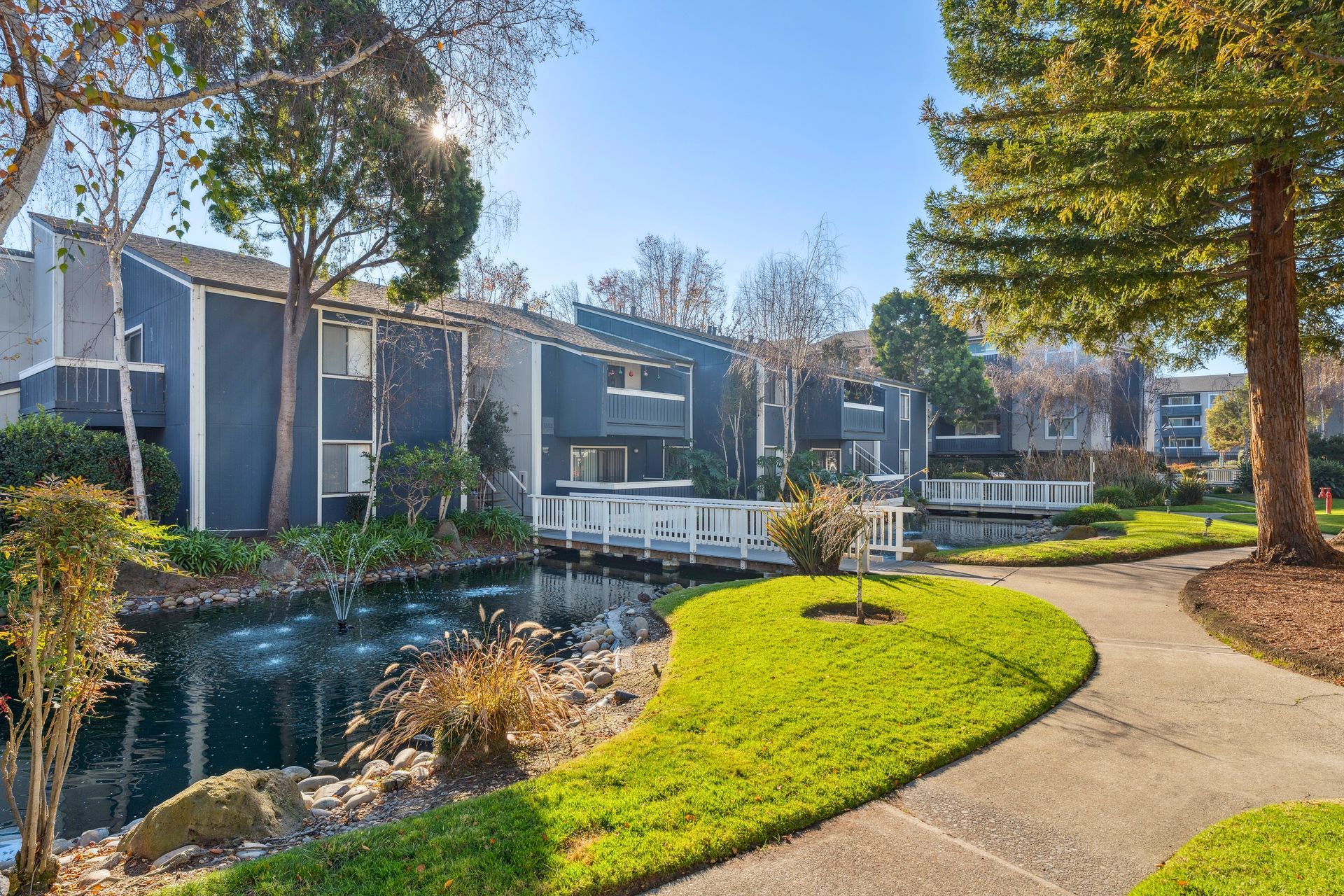 Apartment buildings beside a pond, with a curving sidewalk and green lawn in bright sunlight at Ballena Village apartments in Alameda, CA