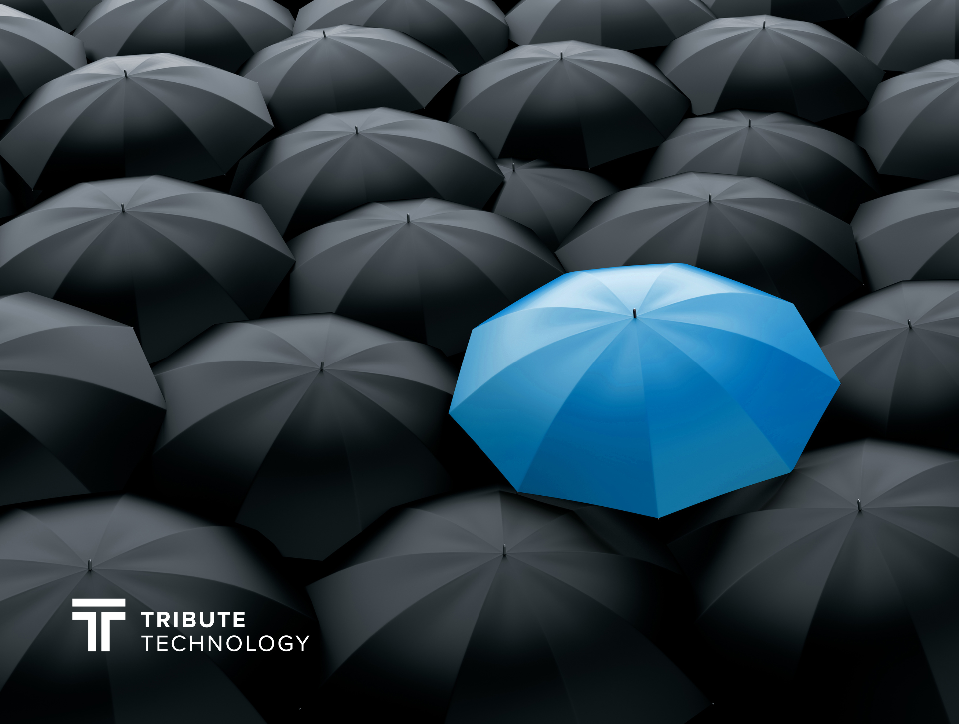 Keys to Differentiating Your Firm in Your Market