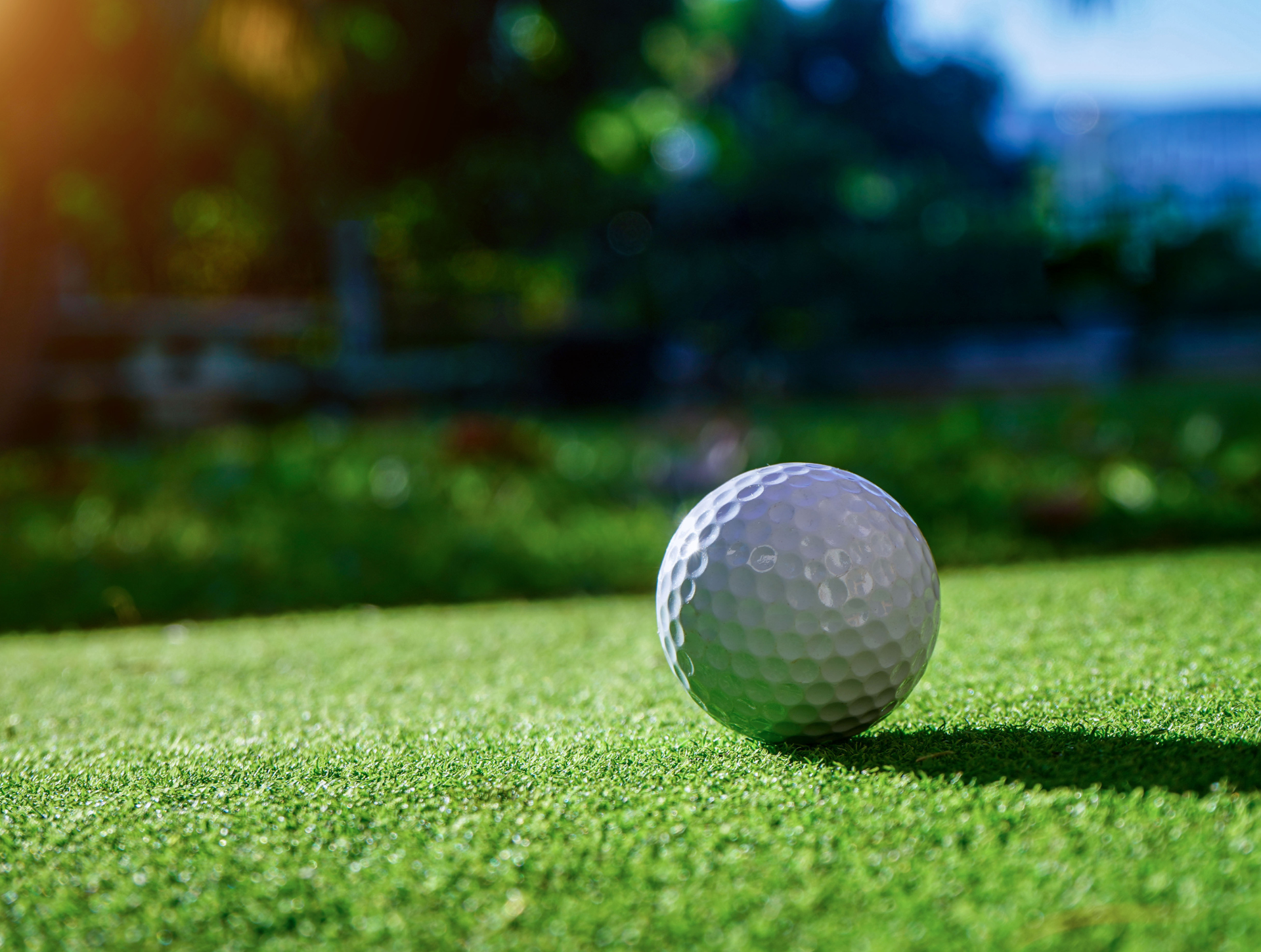 Congratulations to the Winners of the FSF Golf Classic!