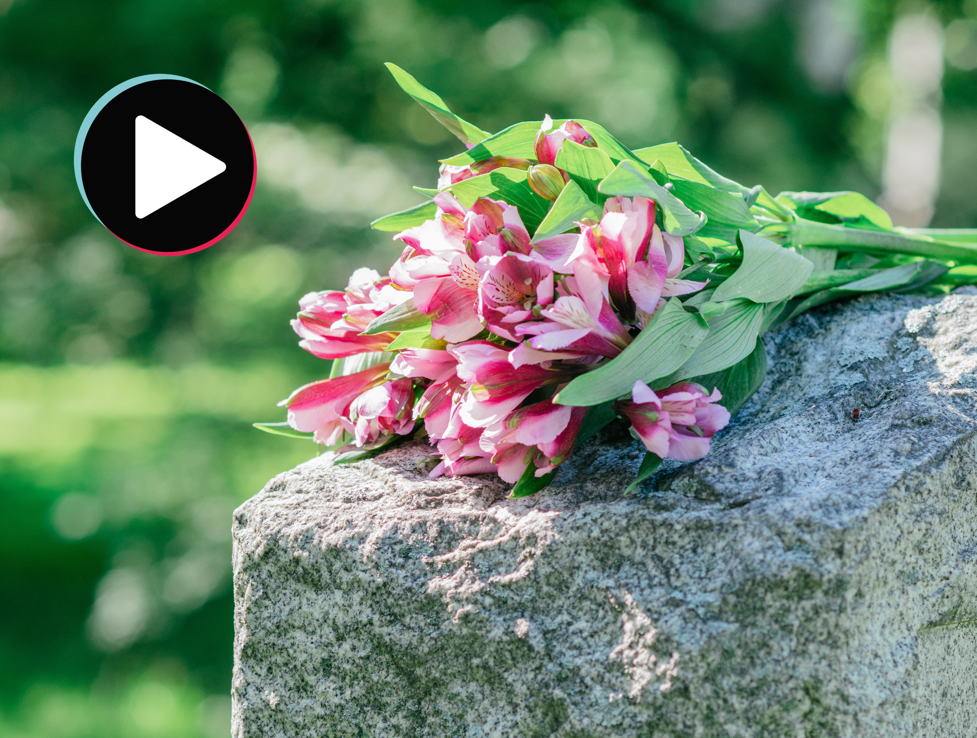 TikTok Officially Has a Niche for Everyone
