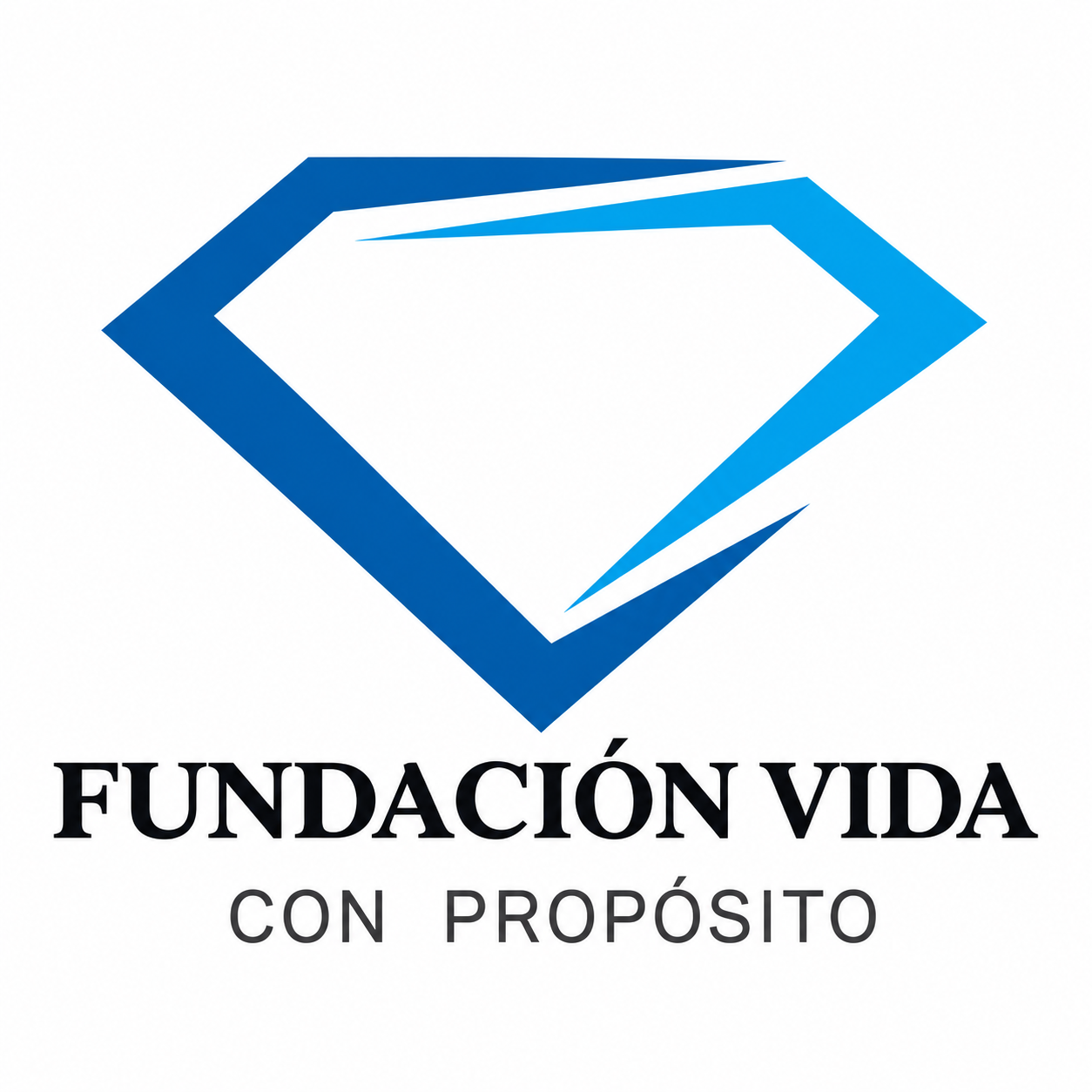 Logotipo azul de Fundación Vida con Propósito, con texto negro y gris sobre fondo blanco