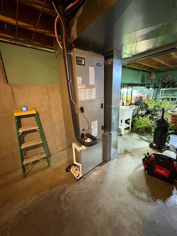 Basement utility area with a water heater, ladder, concrete floor, and plants near an open side.