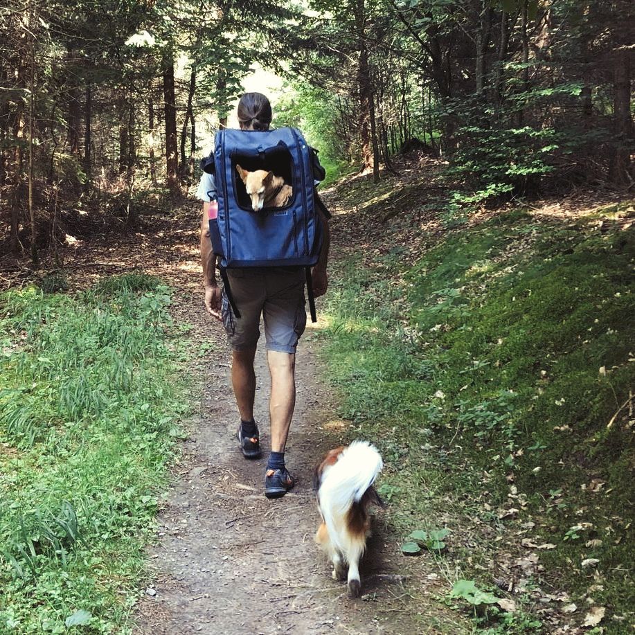 Frank Holzhauer mit Hunderucksack geht mit einem Hund auf einem Weg spazieren