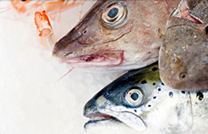 Pescaderías Prometeo
