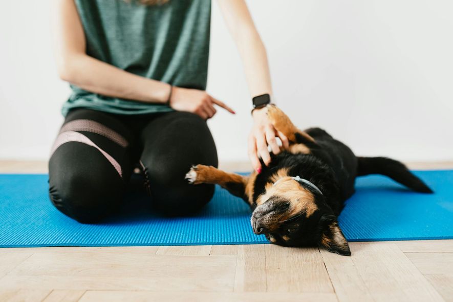 Woman on yoga mat petting a dog on its back.