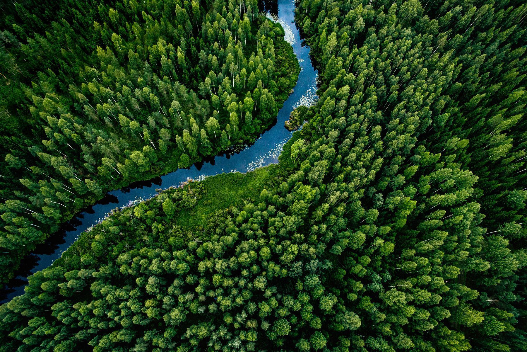 Aerial view of a winding river cutting through a dense green forest.