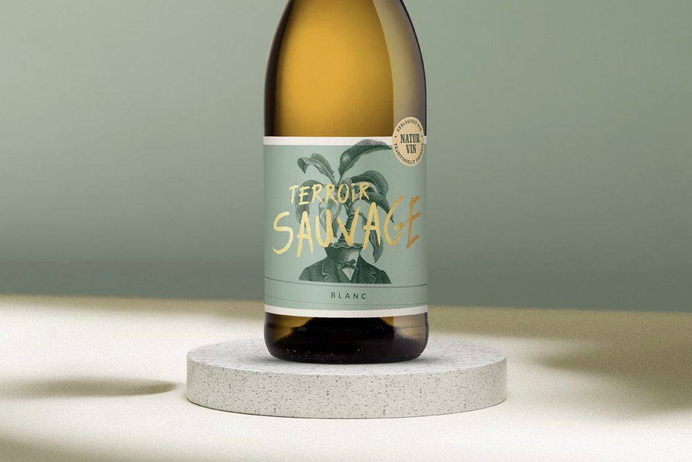 Wine bottle with green label and gold text on a concrete pedestal. Terroir Sauvage.