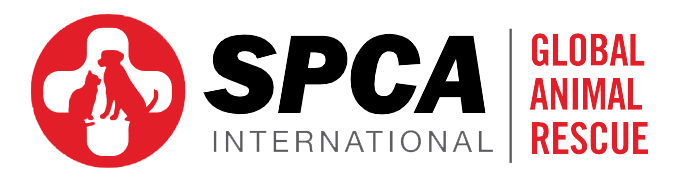 SPCA International logo with red circular animal icon and red “Global Animal Rescue” text on white background