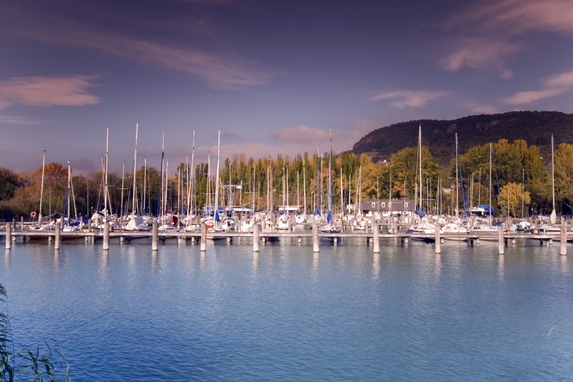 Boats are docked at a marina with a mountain in the background