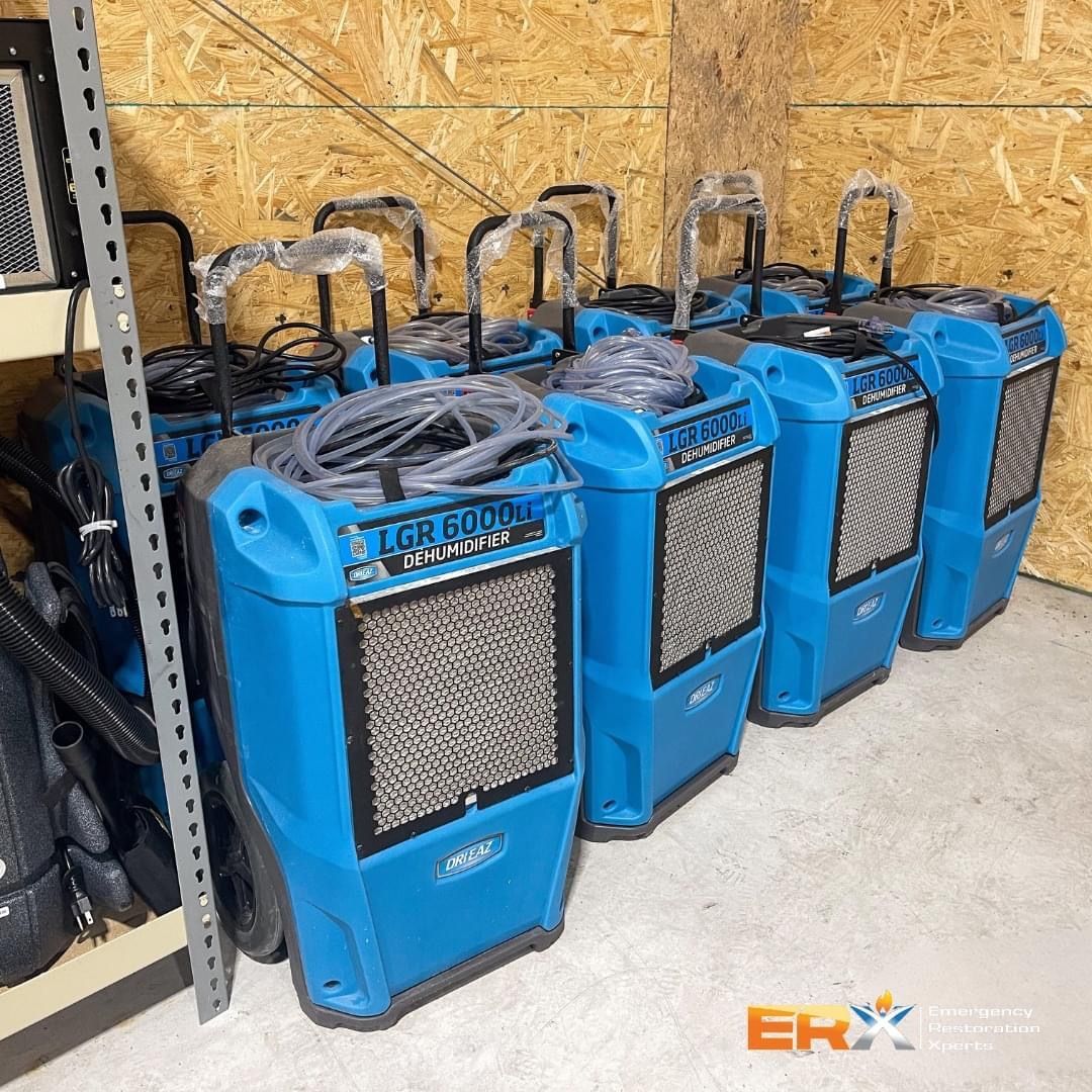 Row of blue portable air scrubbers or fans lined up in a workshop against a plywood wall
