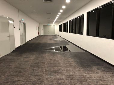 Empty office hallway with carpet, wall-mounted screens, and a puddle on the floor