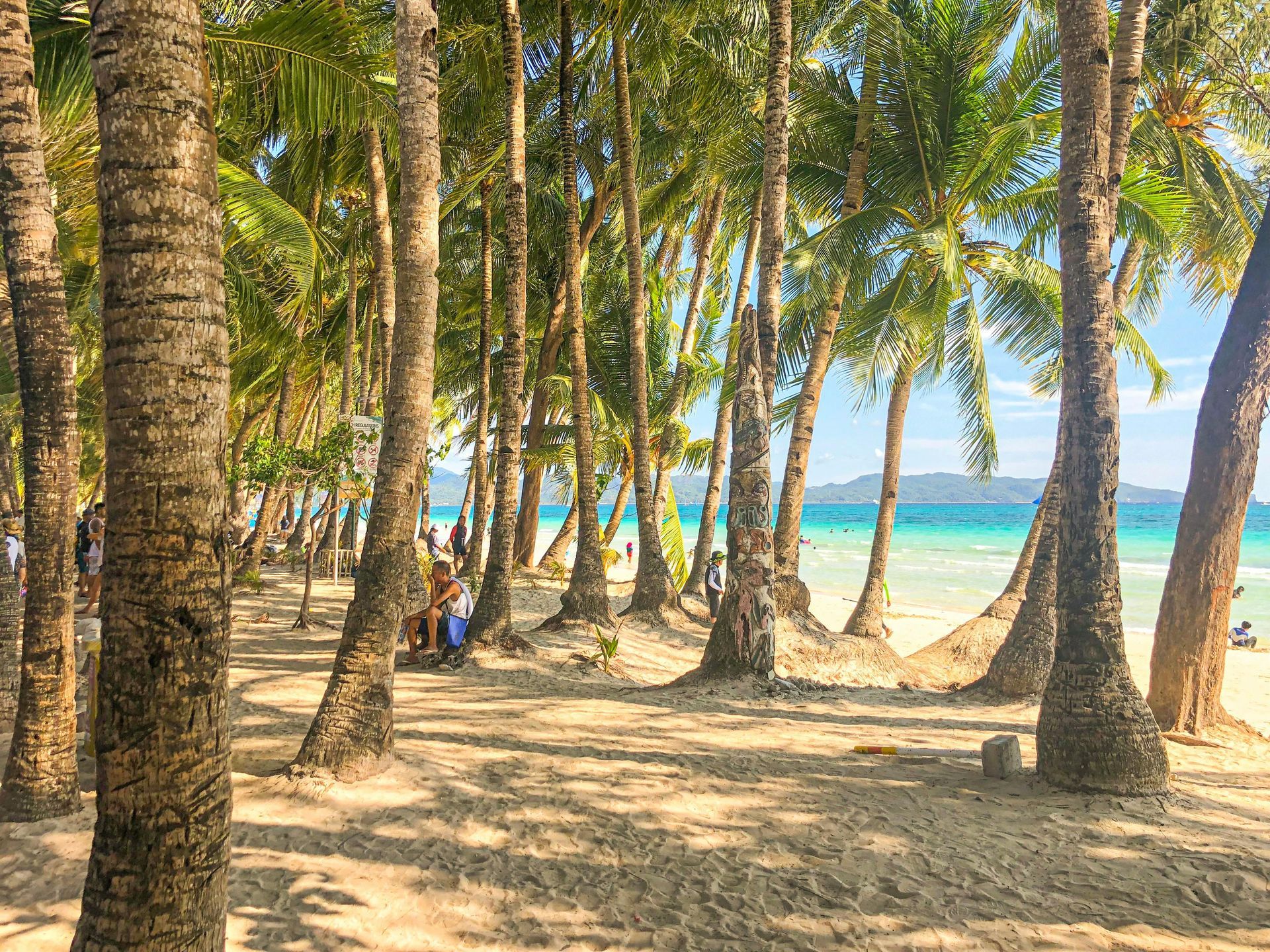 Palm trees line a sandy beach, with turquoise water visible in the background.