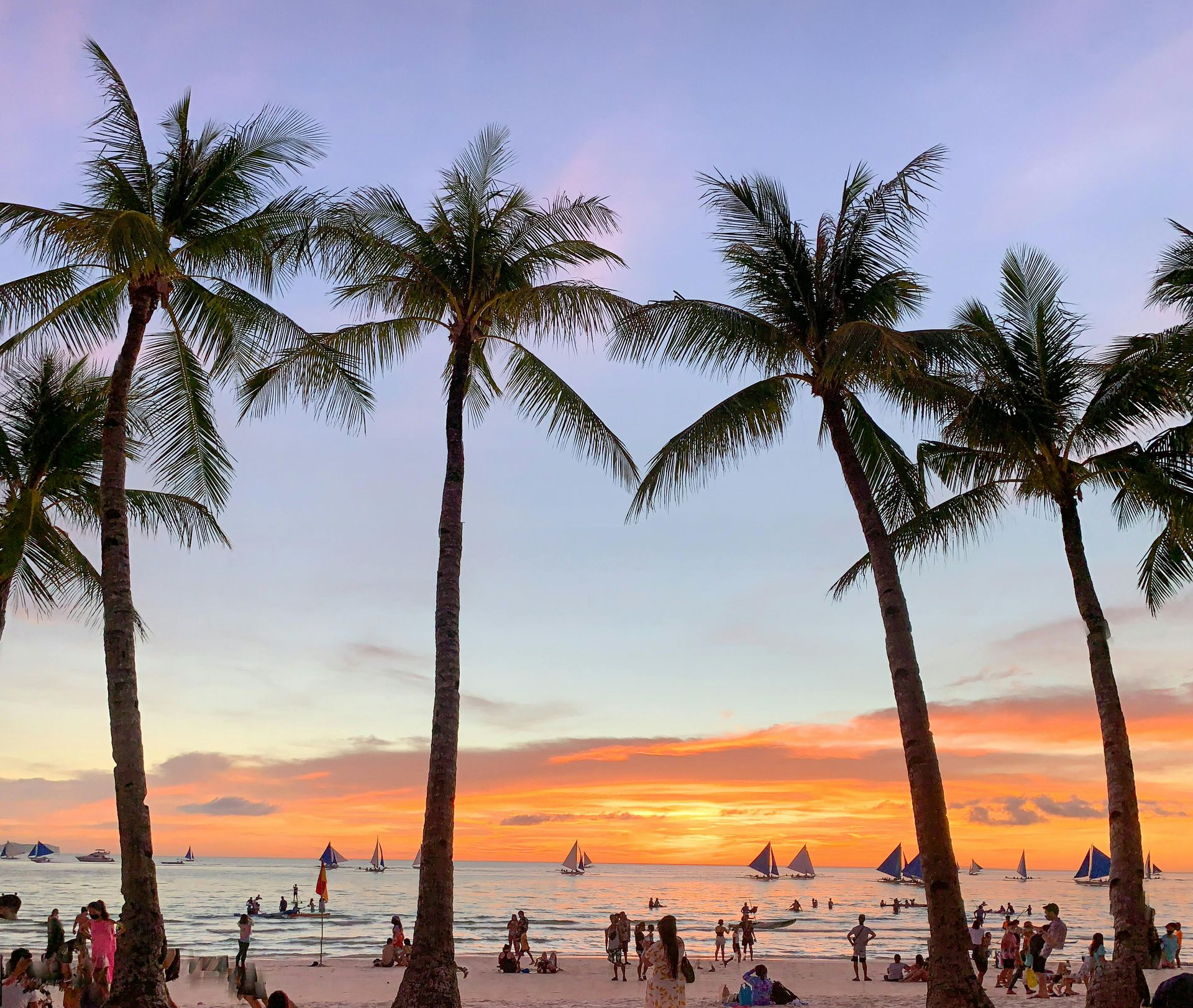 Palm trees on a beach at sunset. People on the sand and in the water. Orange and pink sky.