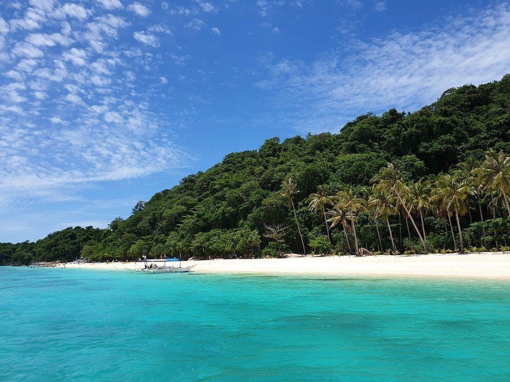 Turquoise water meets white sand beach under a blue sky with clouds. Lush green hillside with palm trees.