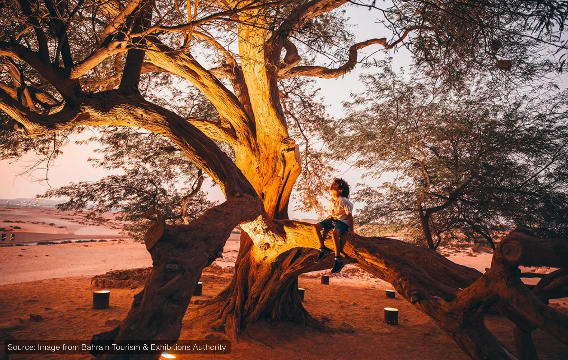 Child sits on a large, illuminated tree branch in a desert landscape at dusk.