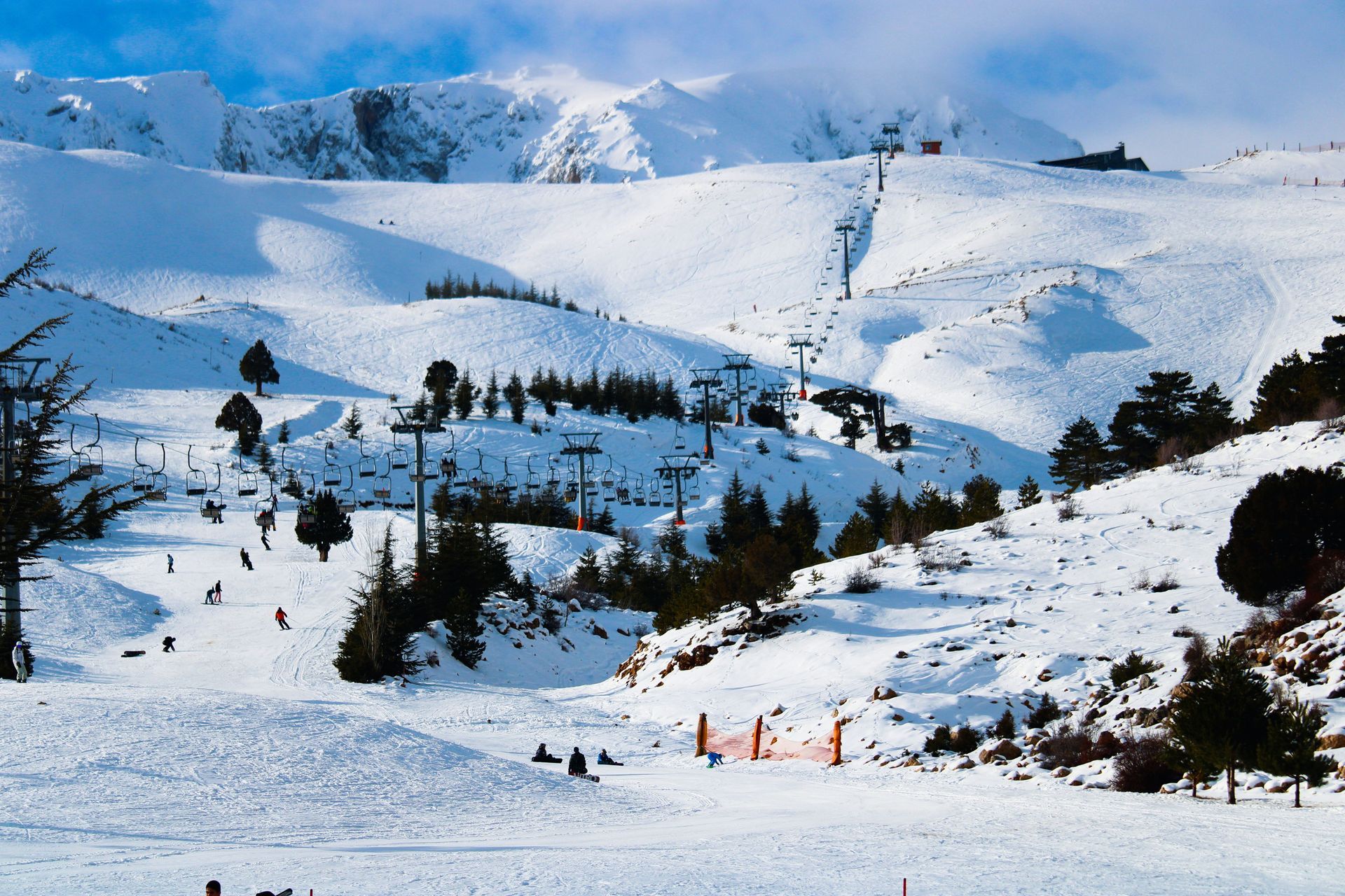 Snow-covered mountains and ski slopes with scattered trees under a bright blue sky