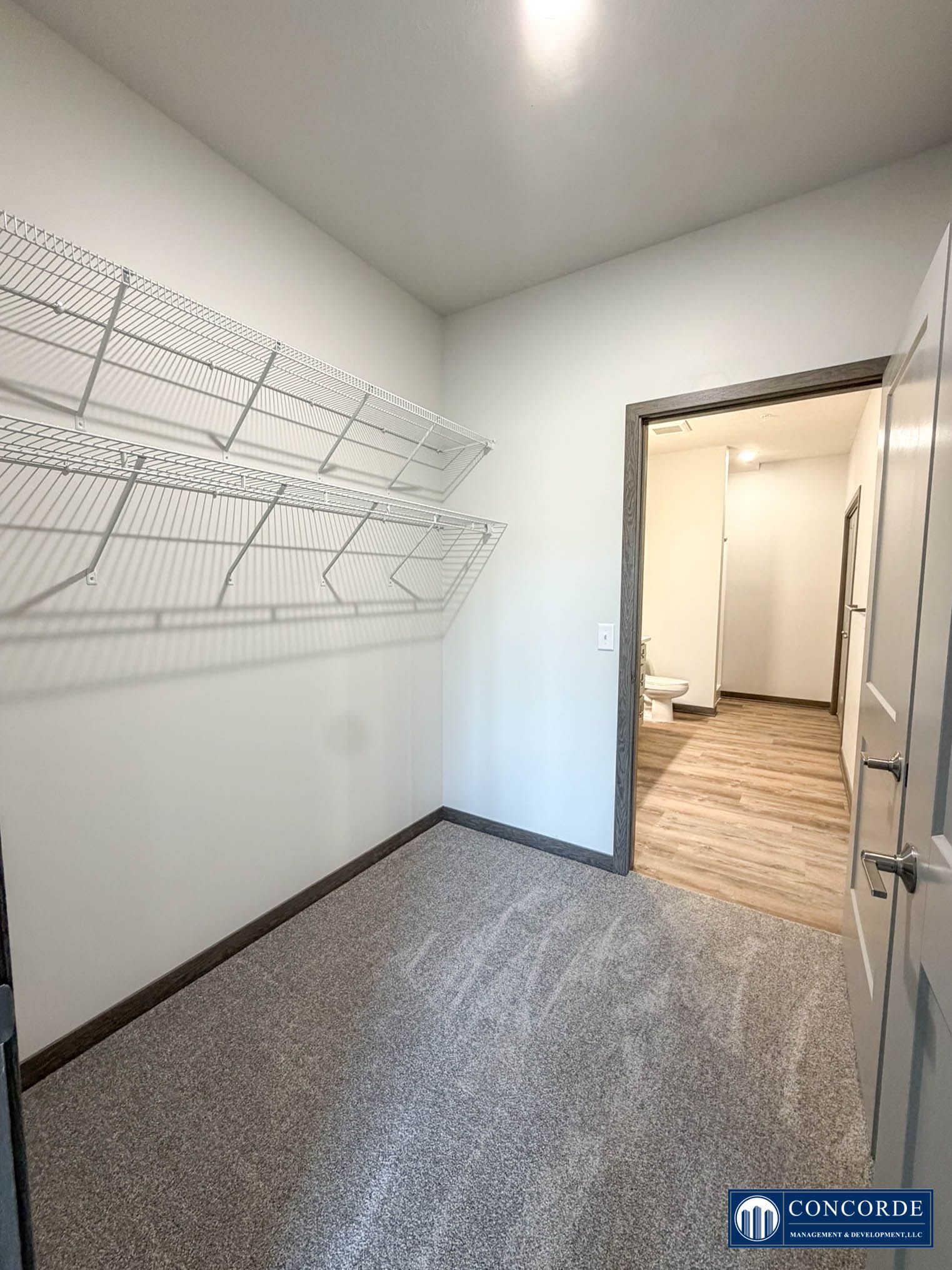 Small carpeted closet with wire shelving and an open doorway to a hallway with wood floors.
