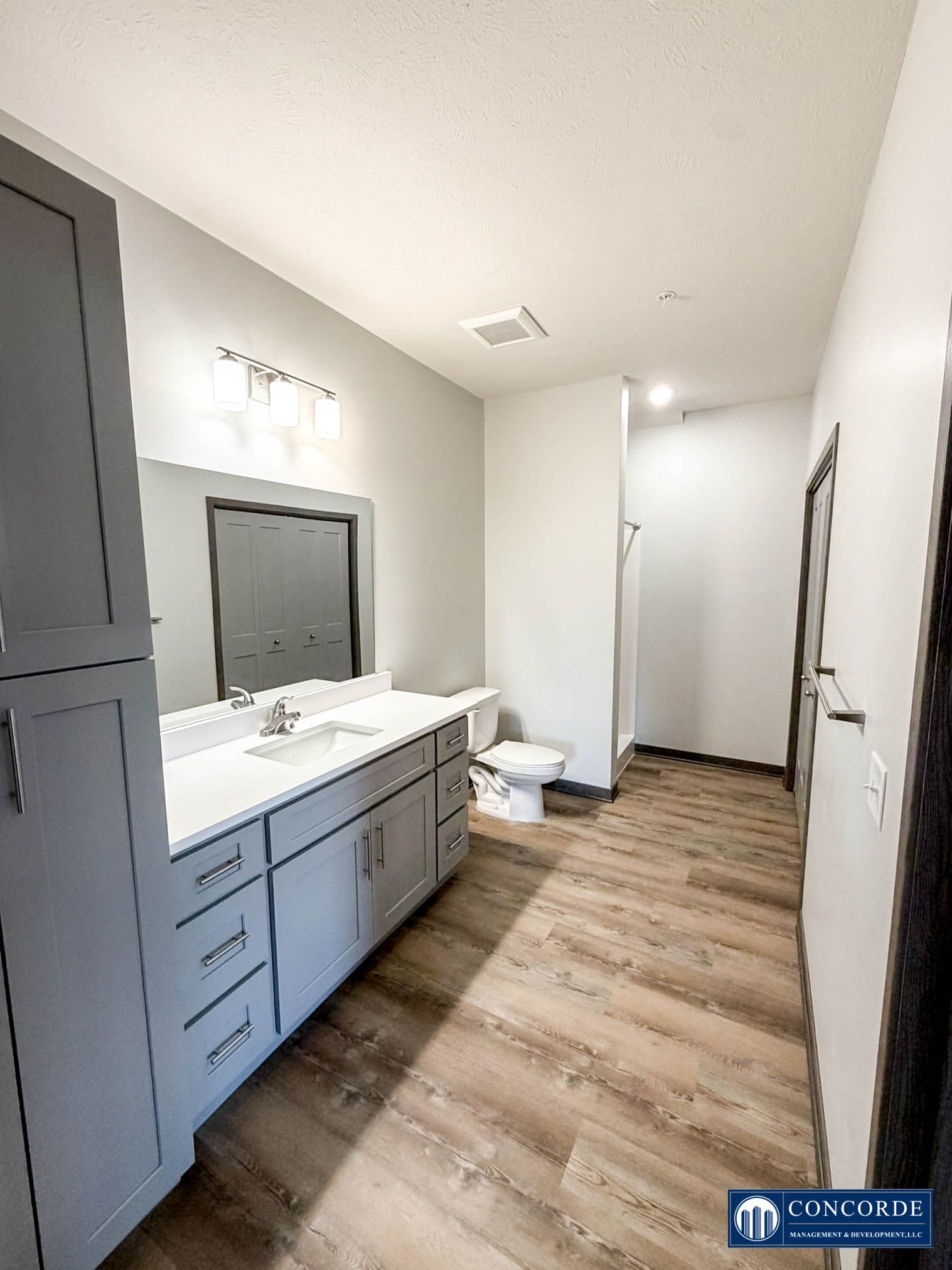 Bright bathroom vanity with mirror, gray cabinets, and wood-look floor in a narrow hallway-like room