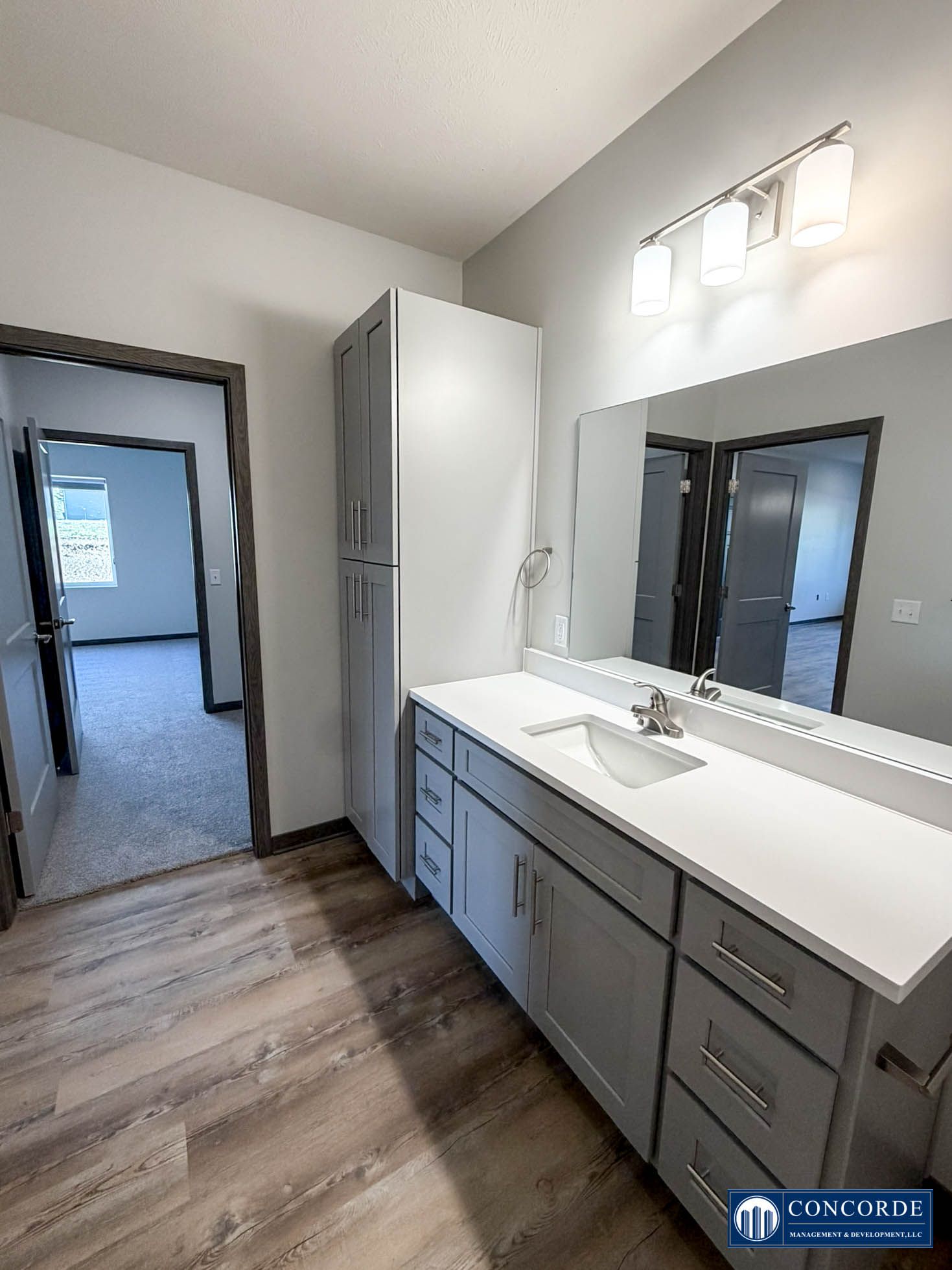 Bright modern bathroom with double vanity, large mirror, gray cabinets, and wood-look floor.