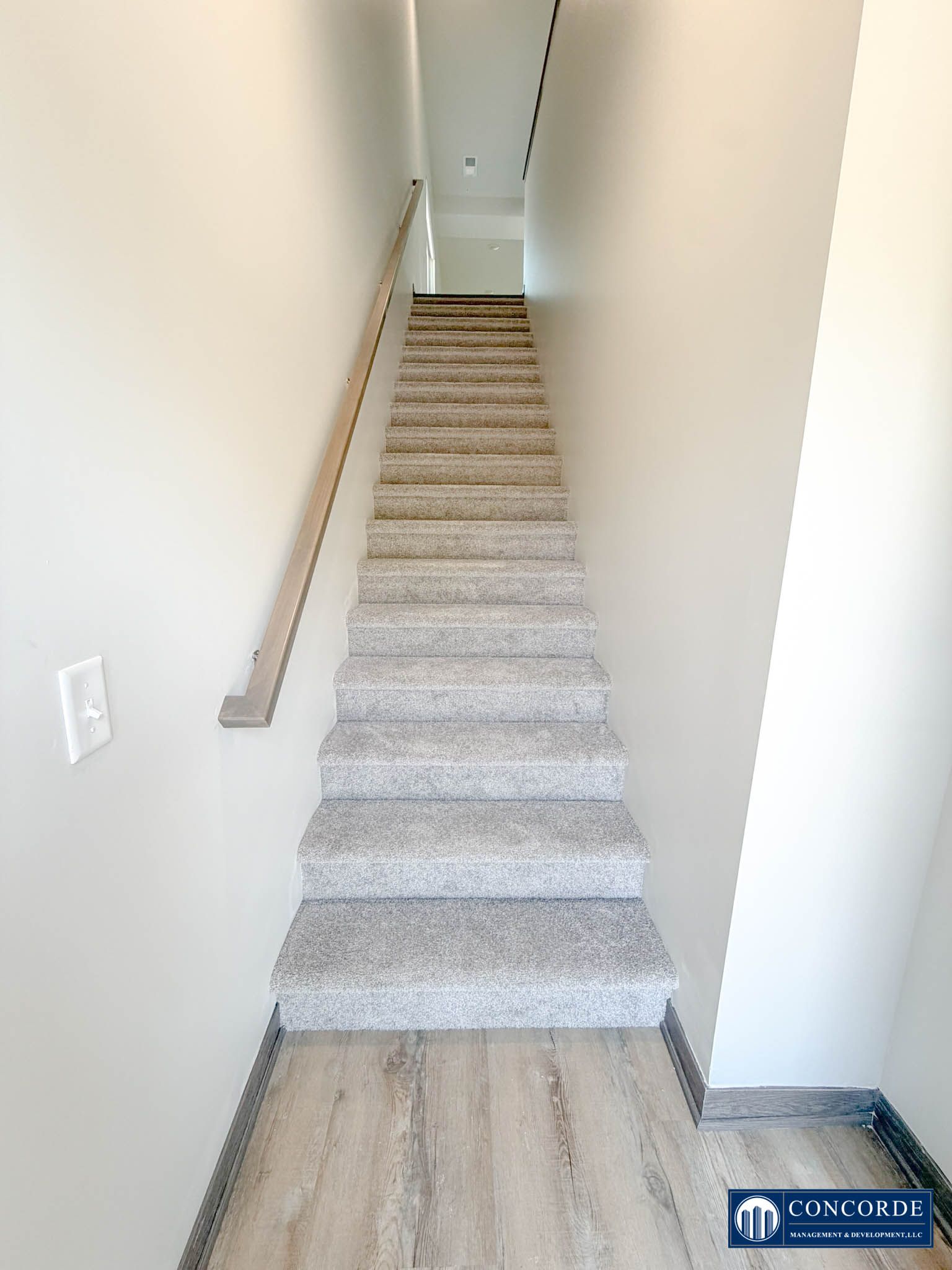 Narrow carpeted staircase in a hallway with white walls and a handrail