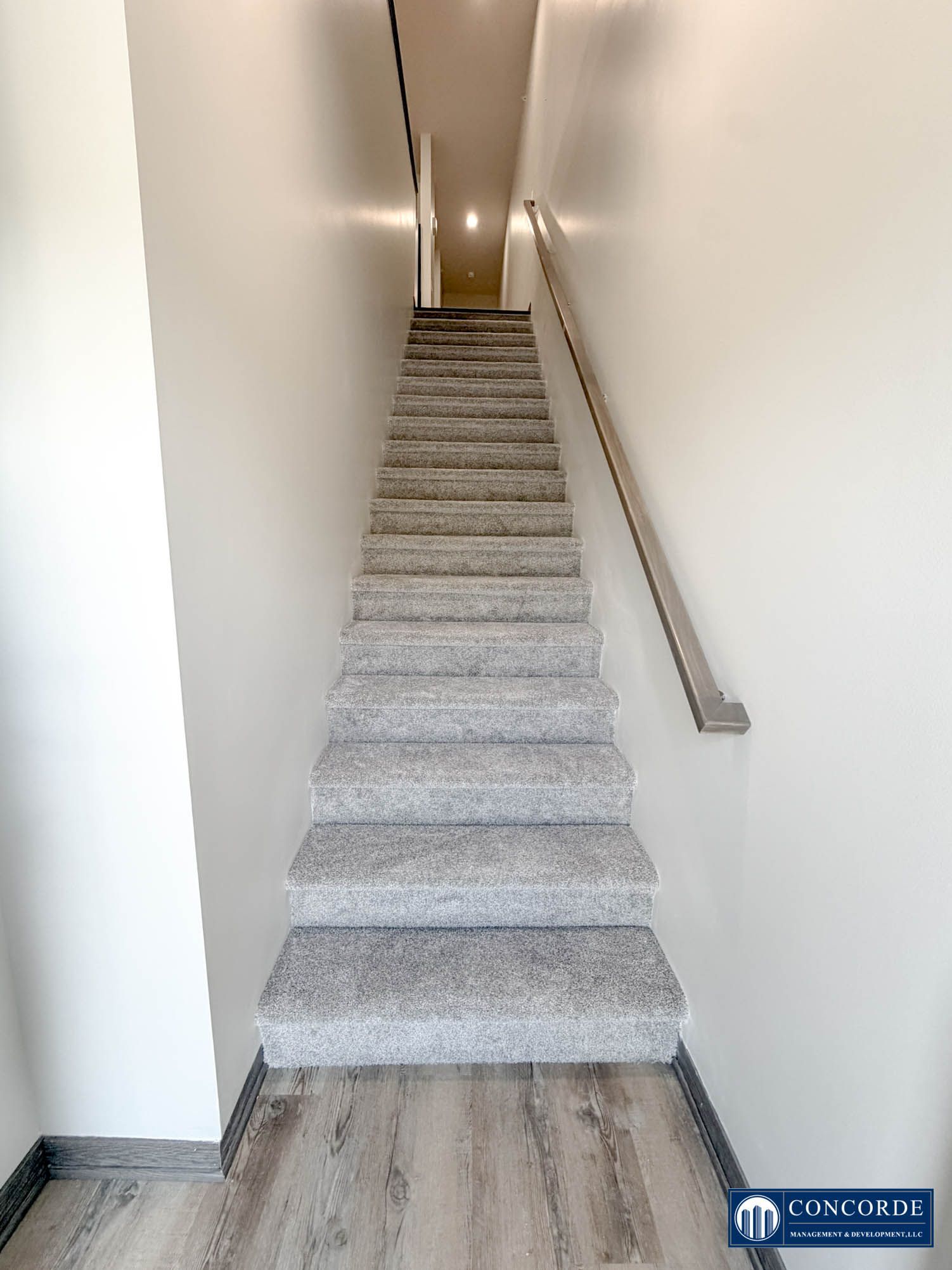 Narrow carpeted staircase leading up a white hallway with handrails on both sides.
