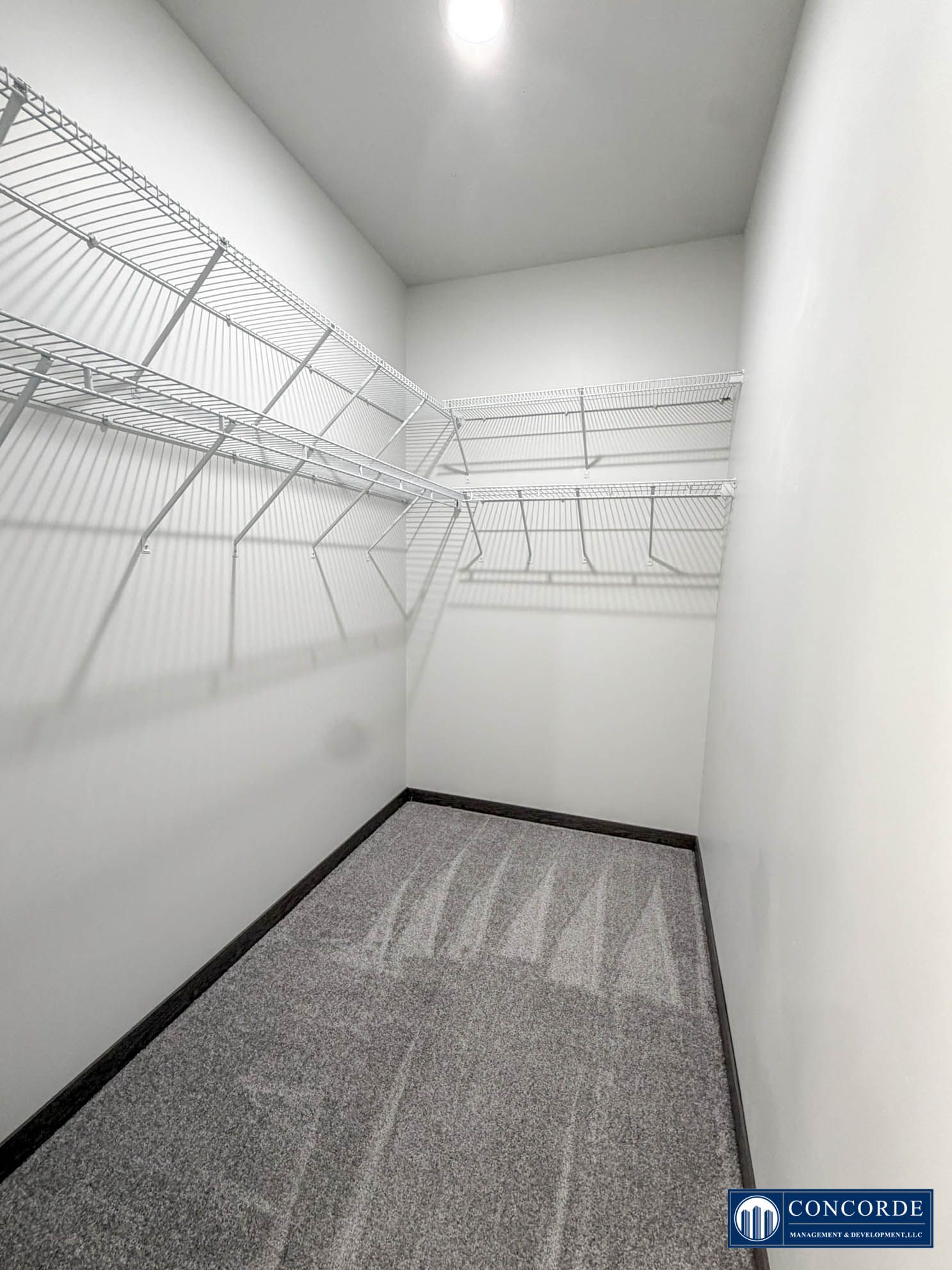 Empty walk-in closet with white walls, wire shelving, and gray carpet flooring