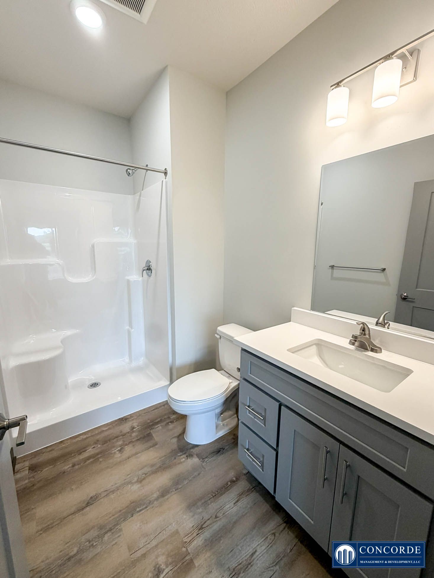 Bright modern bathroom with glass shower, gray vanity, large mirror, and wood-look floor.