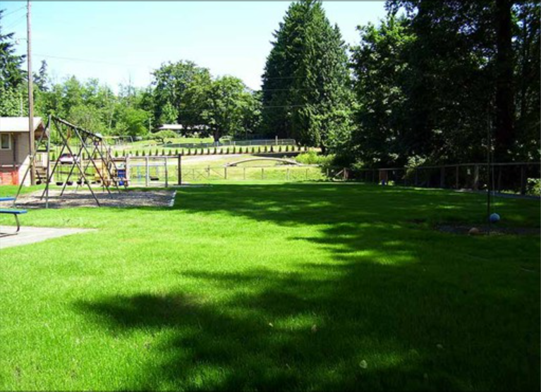 Montessori Academy at Spring Valley School