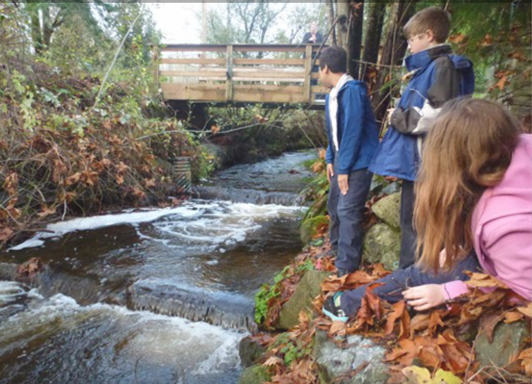 A group of Montessori children are looking at a river Raising salmon from eggs