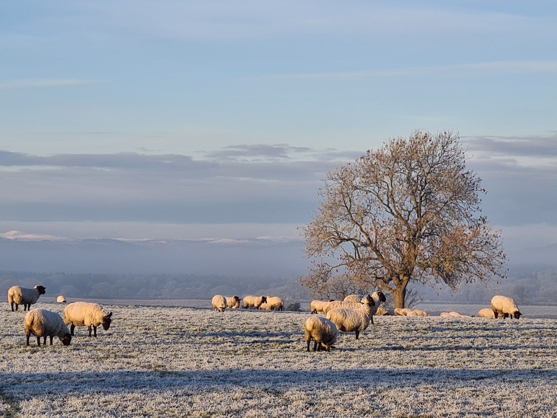 Winter at Fenns Meadow