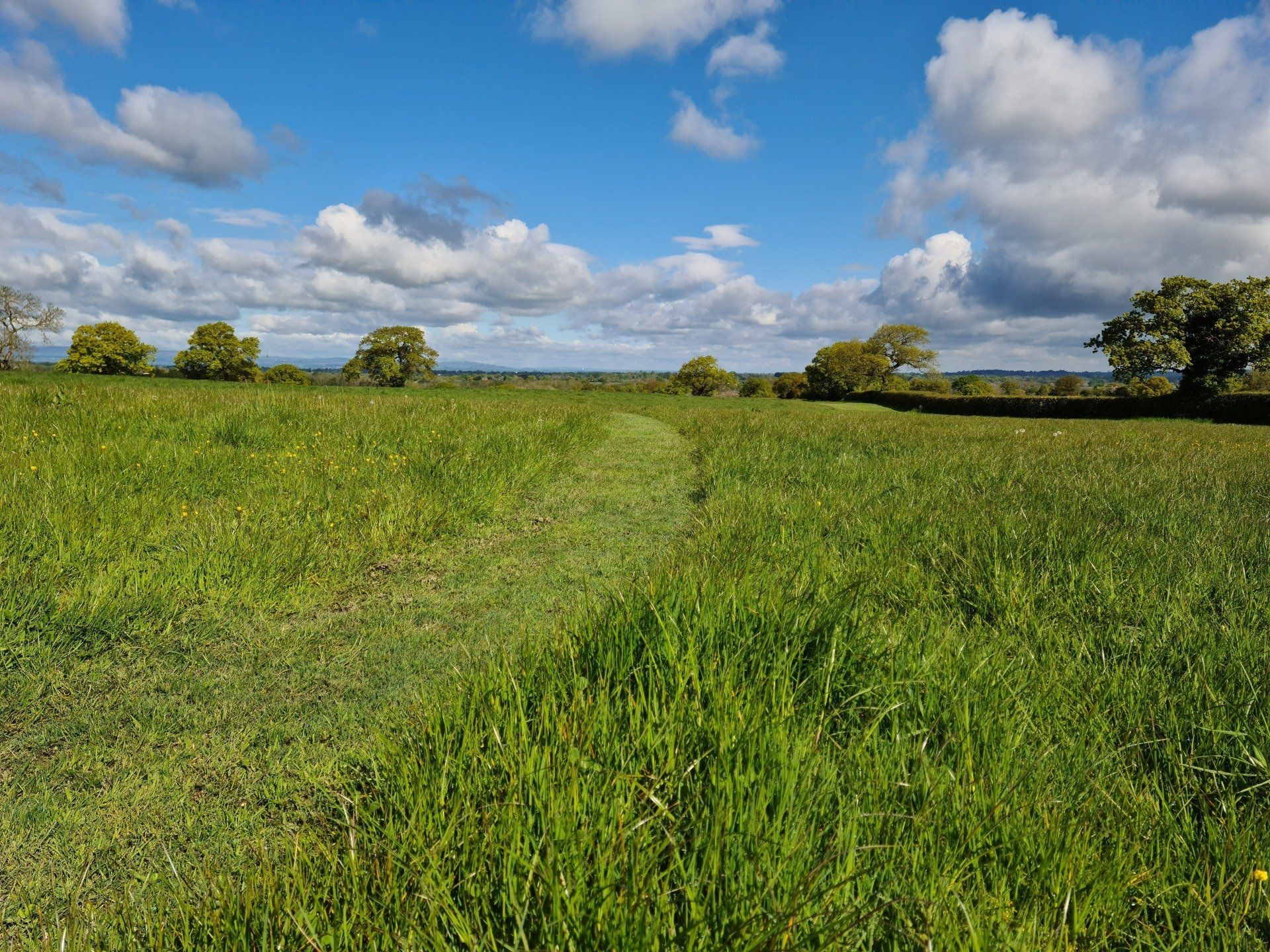 The cut path at Fenns Meadow