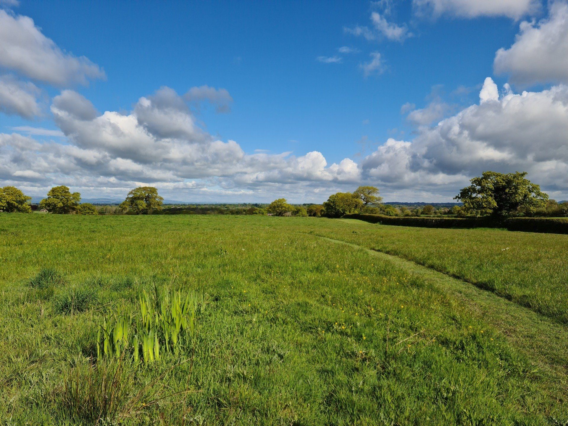 The view across the landscape at Fenns Meadow