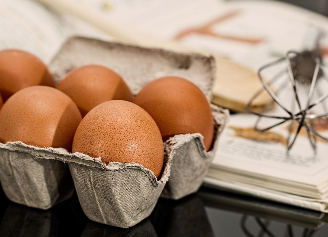 Colombia amplía sus exportaciones de huevo y pollo a 11 mercados  internacionales