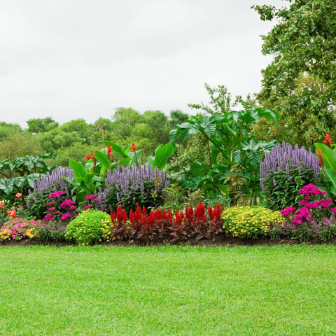 There are many different types of flowers in the garden.