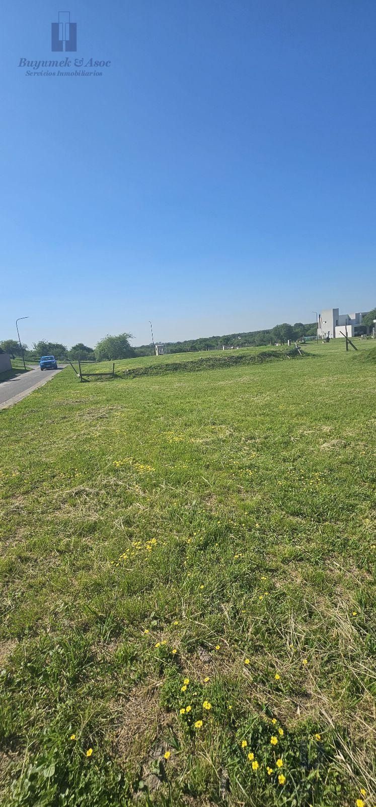 Campo de hierba bajo un cielo azul despejado con una carretera y edificios lejanos en el horizonte.