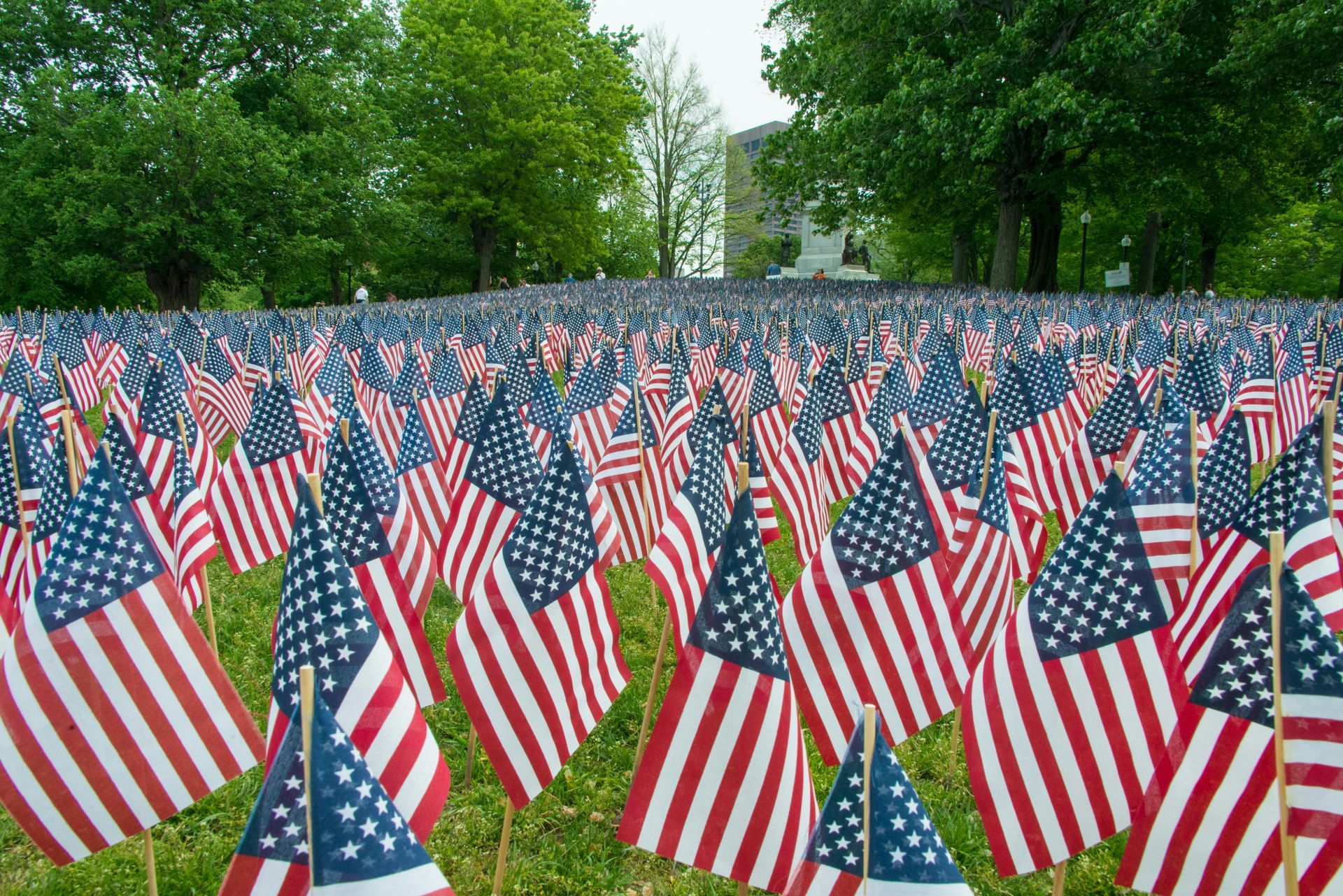 Field of American Flags