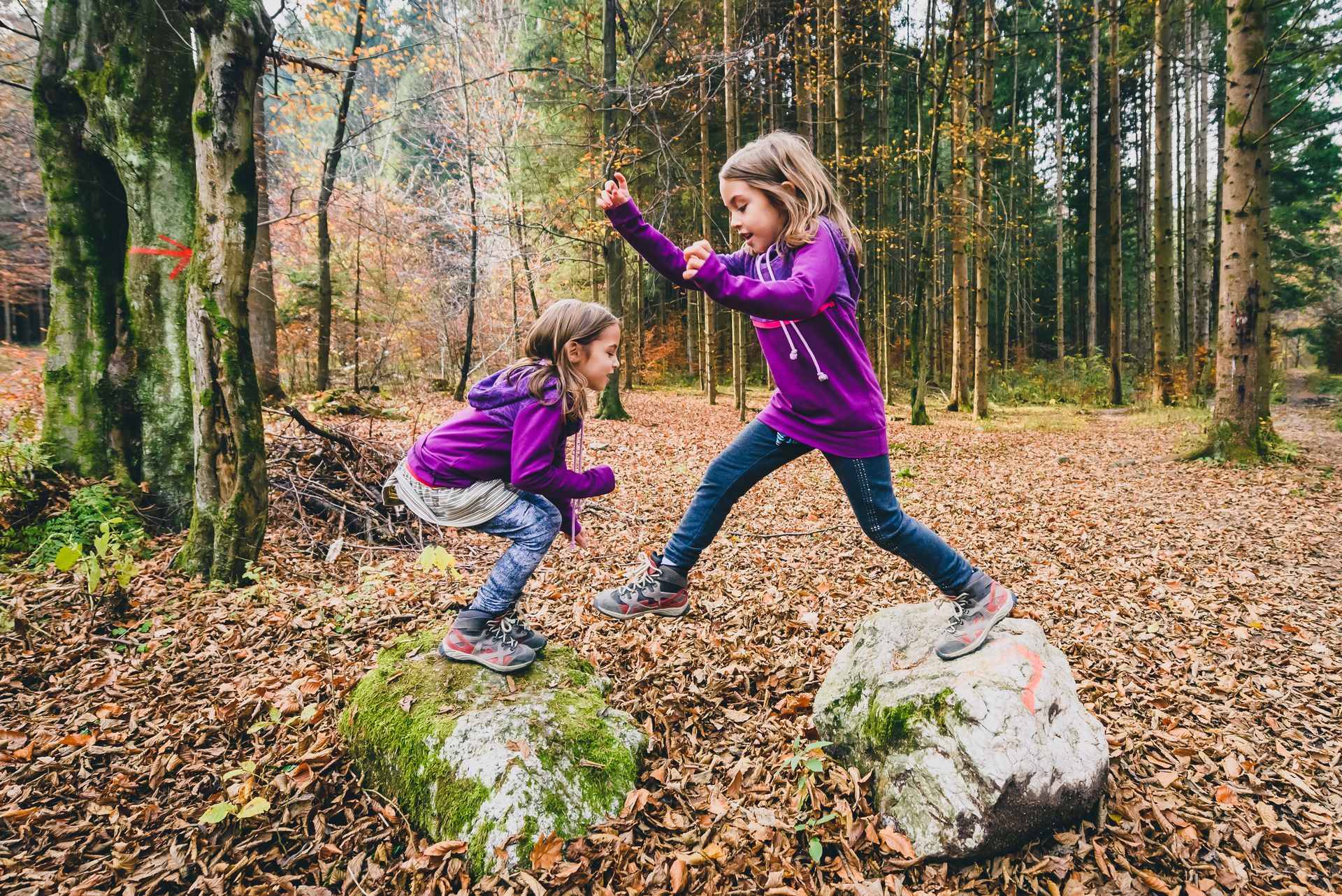 Two children in purple jackets jump between rocks in a wooded autumn forest
