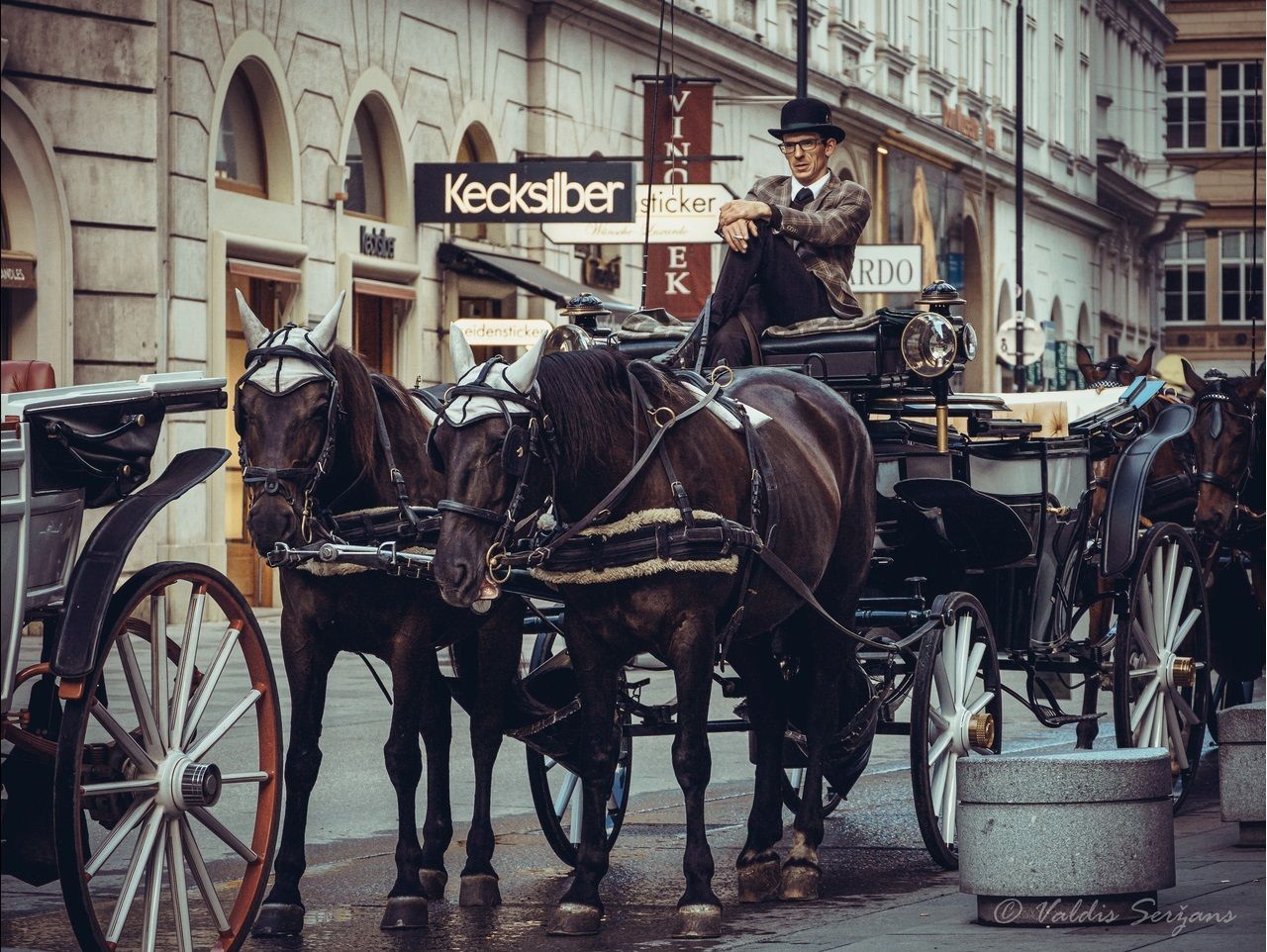 Horse-drawn carriage with driver in Vienna. Horses stand on cobblestone street. Buildings in background.