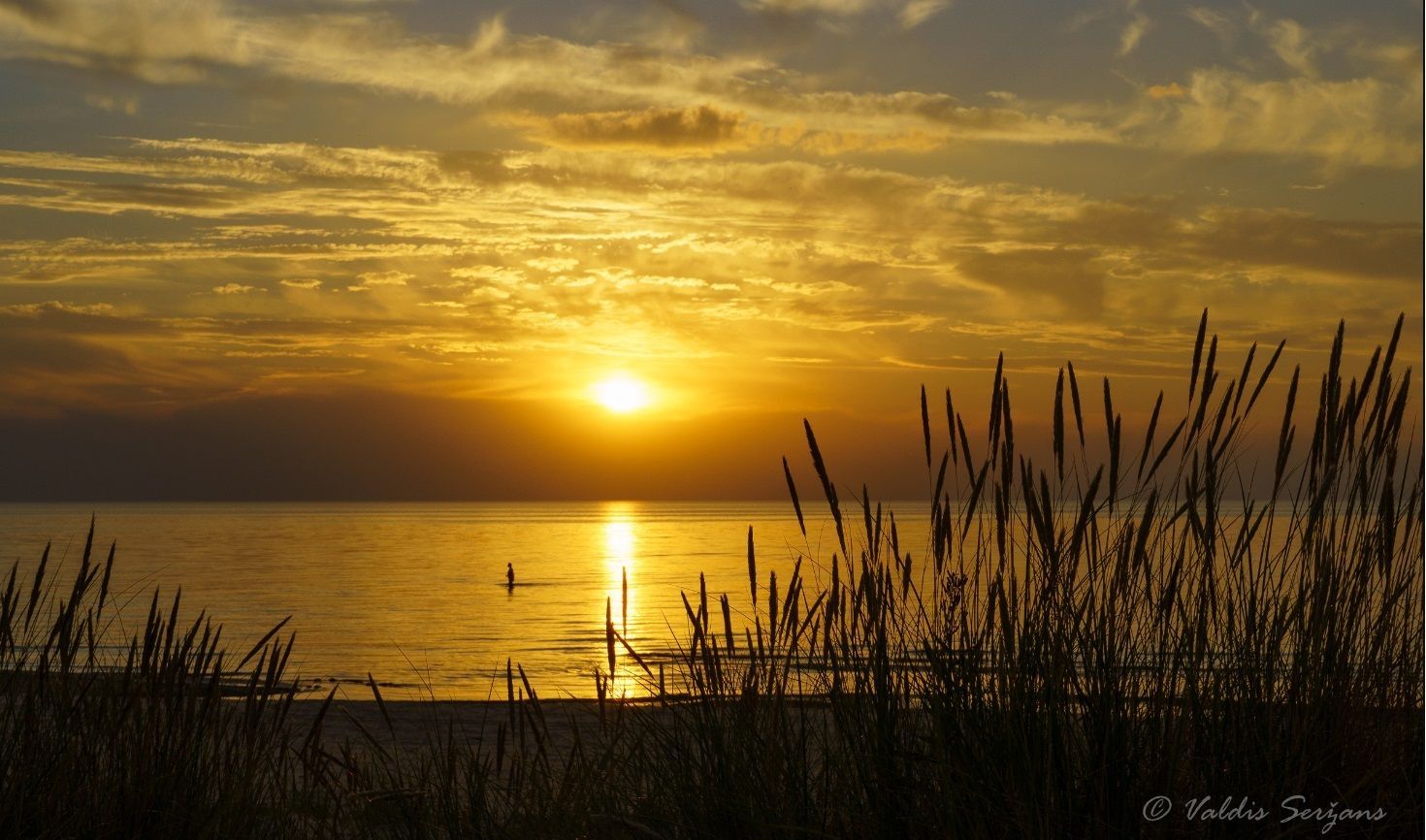 Golden sunset over water, silhouetted grass in foreground.