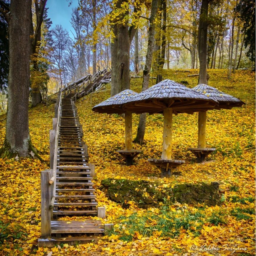 Wooden stairs ascend through a forest floor covered in golden leaves; three mushroom-shaped shelters on the right.