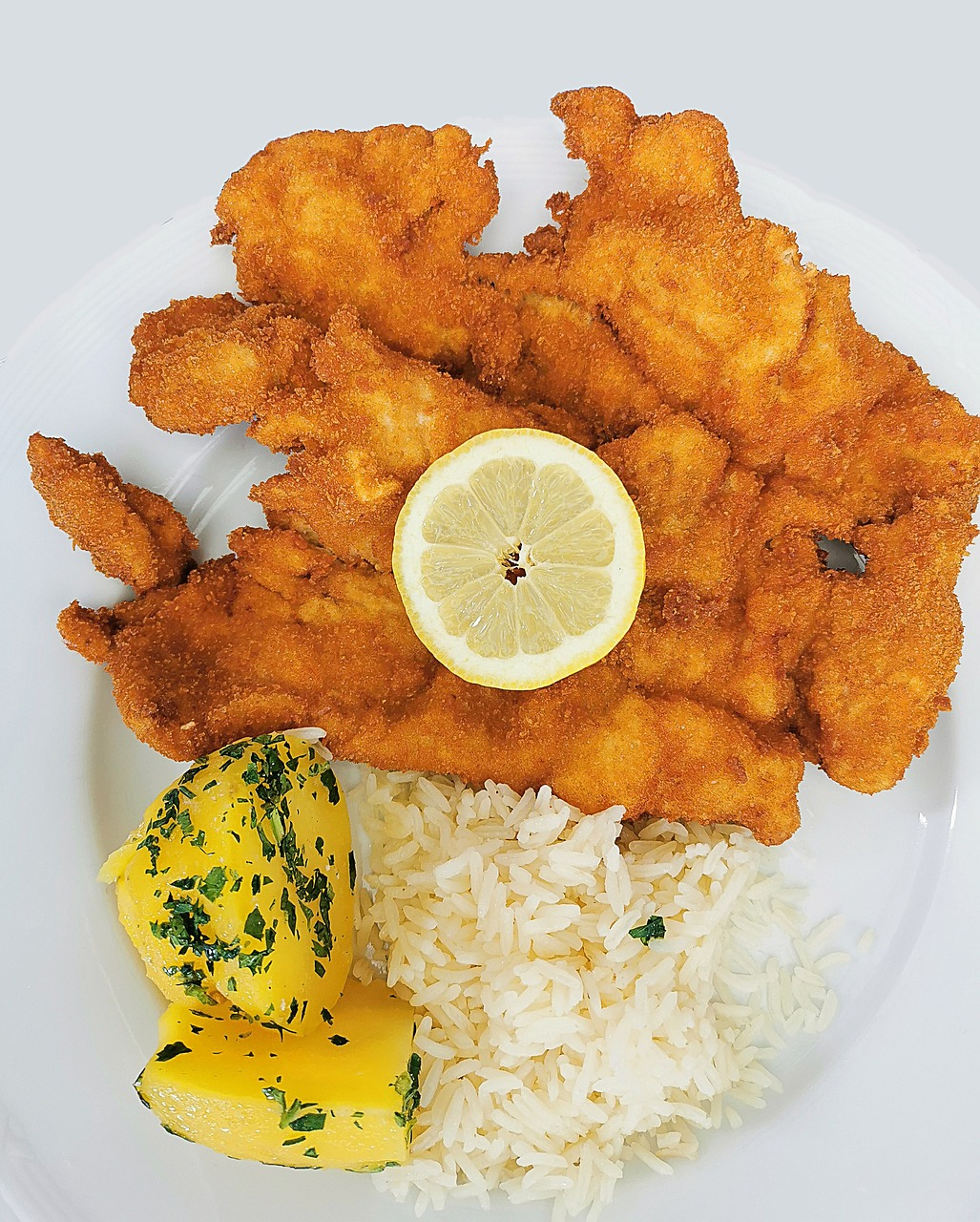 Breaded meat with lemon slice, rice, and potatoes on a white plate.