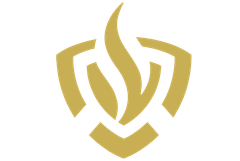 brandweer brandweer