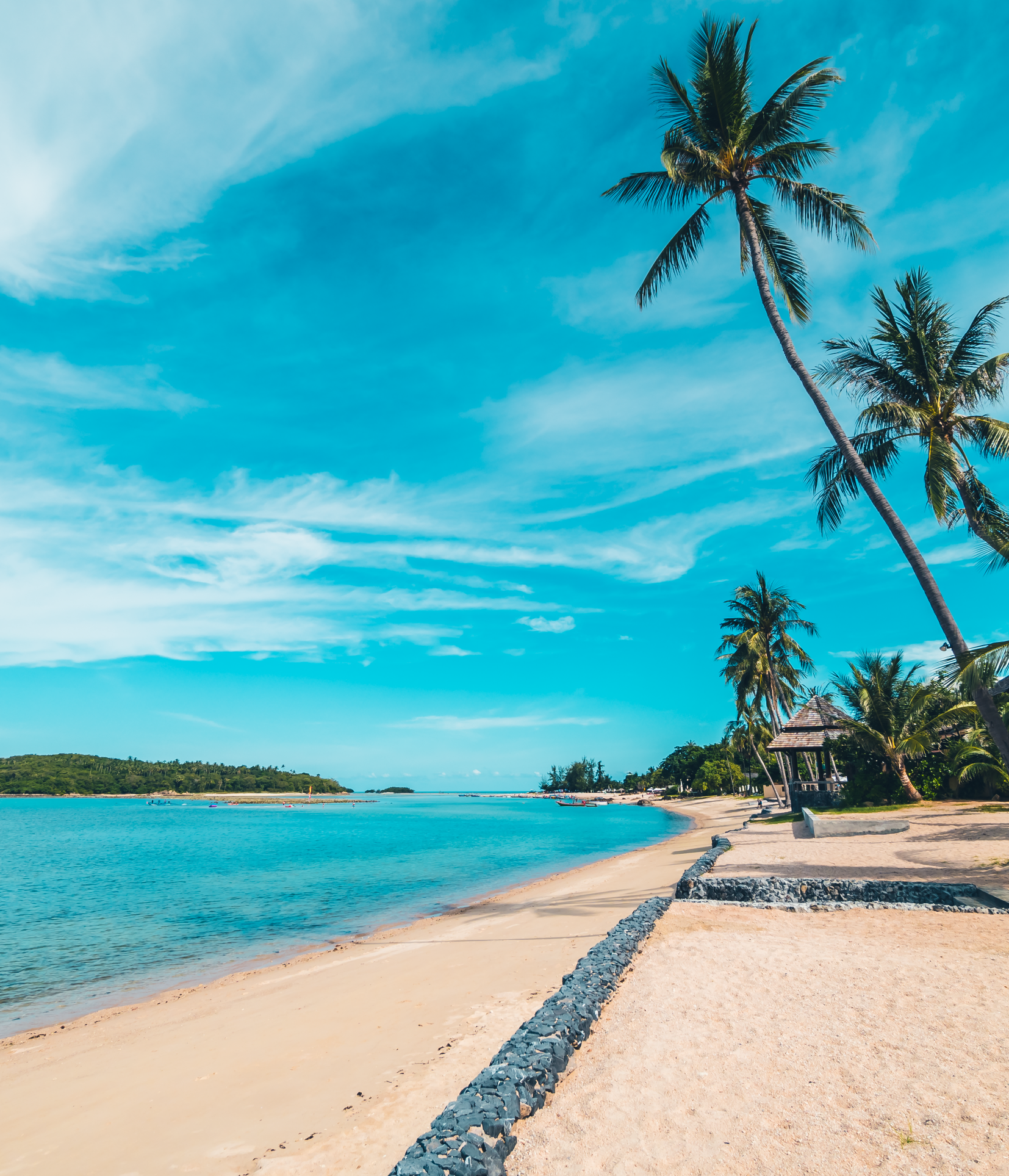Una escena de playa tropical con palmeras, un mar turquesa en calma y una orilla arenosa bajo un cielo azul brillante.