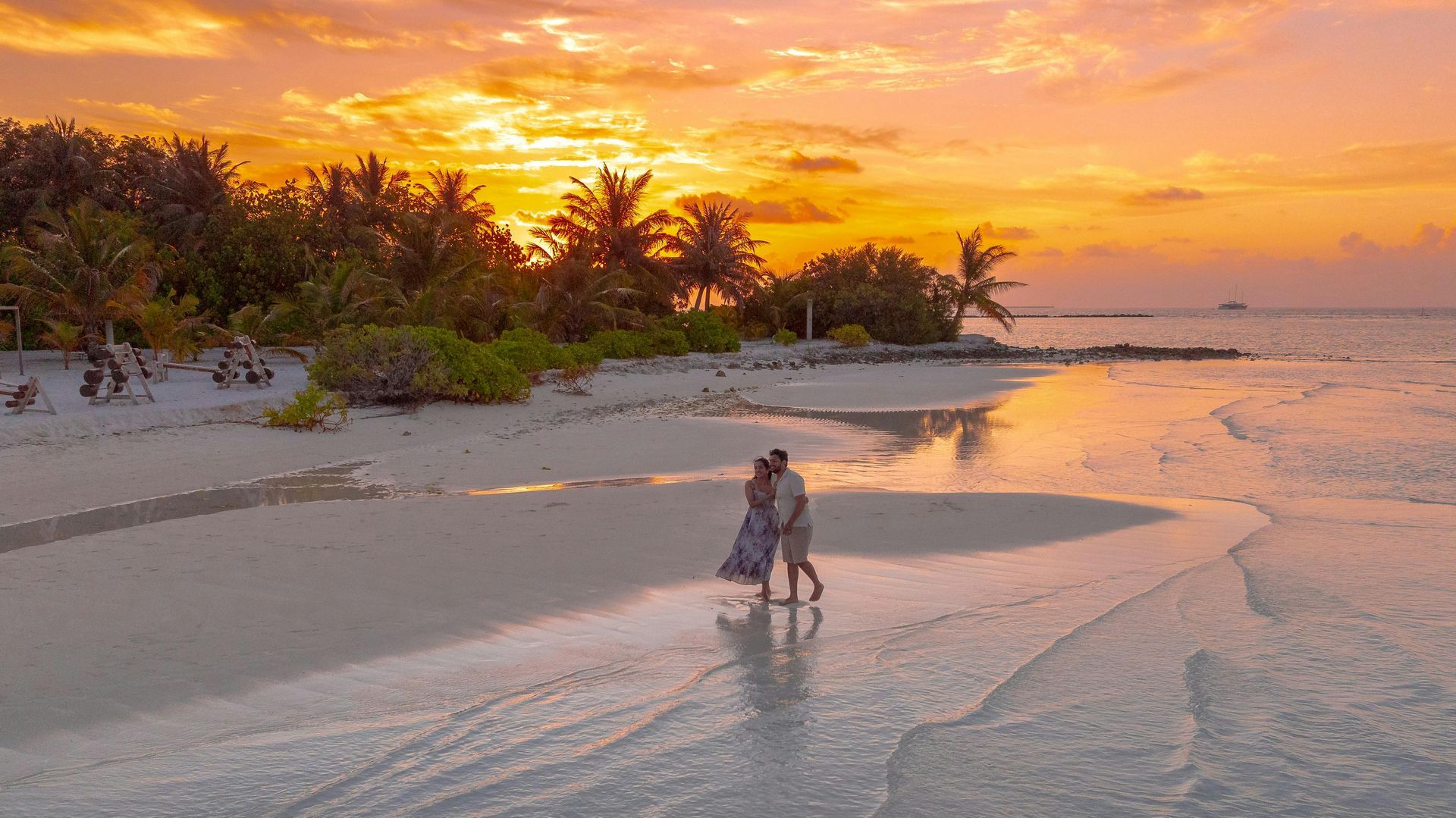 Una pareja se abraza en una playa tranquila al atardecer, con la luz dorada reflejándose en la arena mojada y las exuberantes palmeras cercanas.